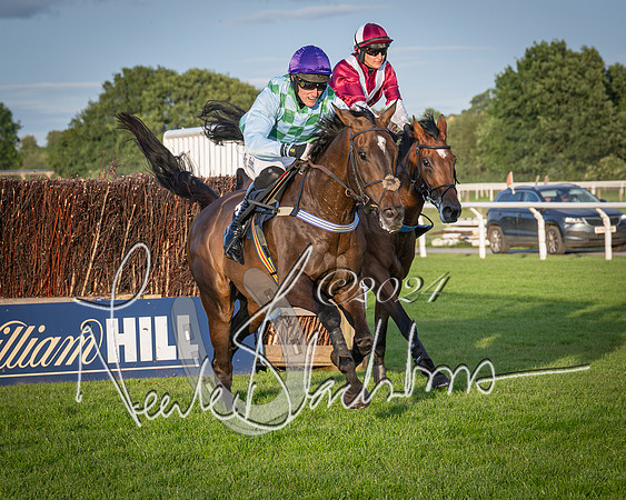 Race 5 - tipsterreviews.co.uk handicap (55 of 107)