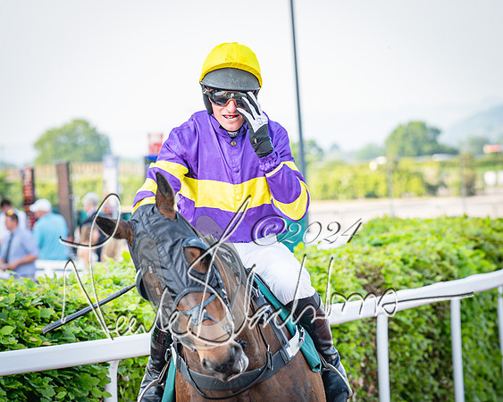 Race 3 - The Junior Jumpers open hunter's steeple chase 3m1f56y (28 of 156)