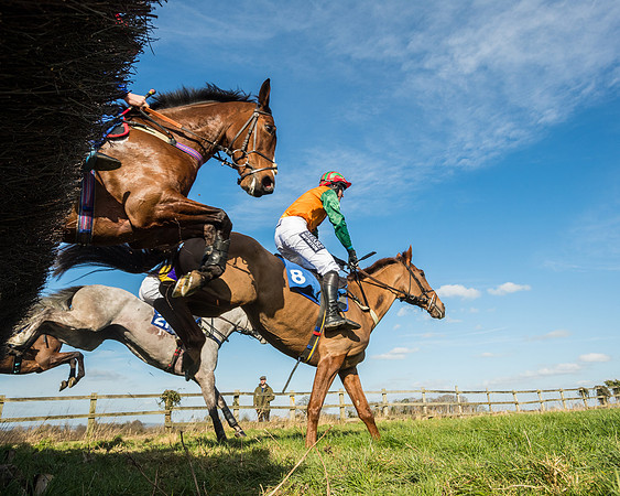 Race 1 - Open Maiden Division 2 (68 of 173)
