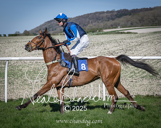 Race 6 - Veteran horse (43 of 109)