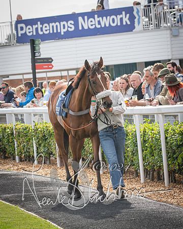 Race 1 - Pointing Pointers Restricted Final (11 of 79)
