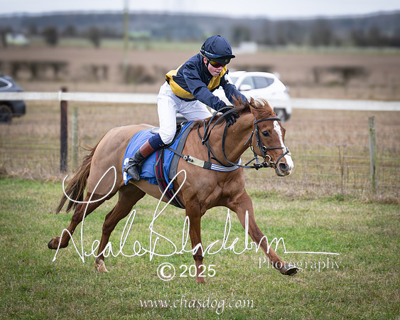 Avalon Dancder - Chloe Fox Pitt