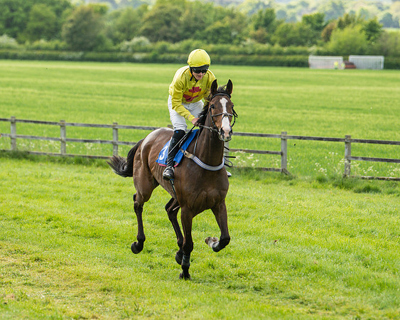 Race 6 - Maiden [2m4f] (23 of 135)