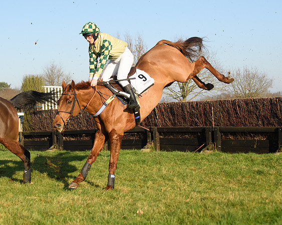 Race 2 - PPORA Novice Riders  (139 of 205)