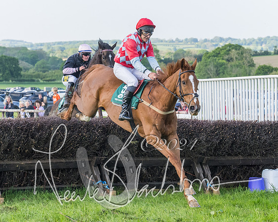 Race 7 - Veteran Horse (92 of 246)