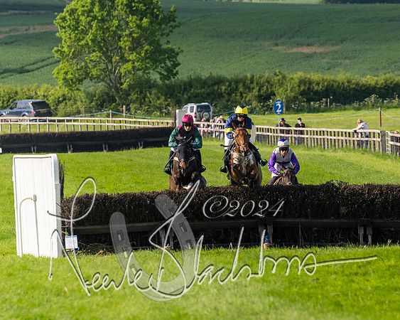Race 6 - Owner trainer conditions (120 of 272)