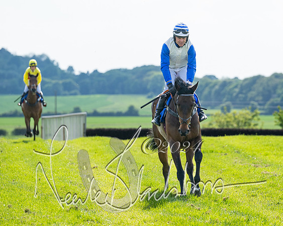 Race 5  - Maiden race 2m5F Div-1 (54 of 197)