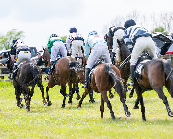 Race 5  - Novice riders (127 of 188)