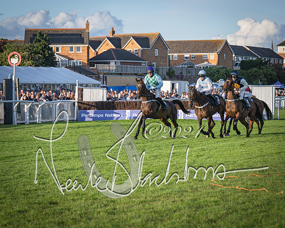 Race 5 - tipsterreviews.co.uk handicap (25 of 107)