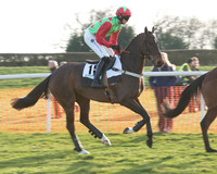 Race 7 - Novice Riders Race (8 of 145).jpg