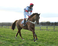 TVRC - Young Horse Maiden Division 2