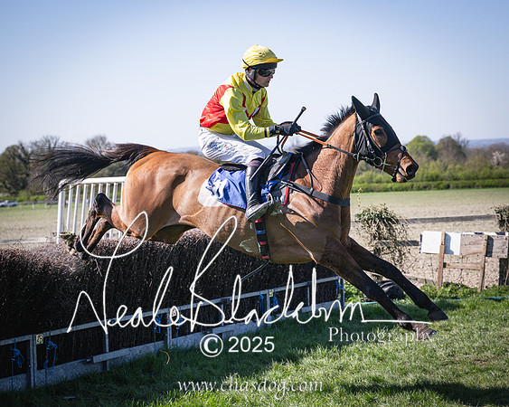 Race 5 - The restricted (71 of 113)