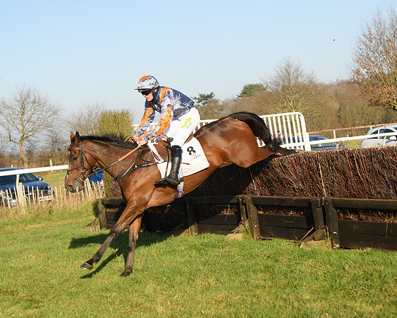 Race 2 - PPORA Novice Riders  (199 of 205)