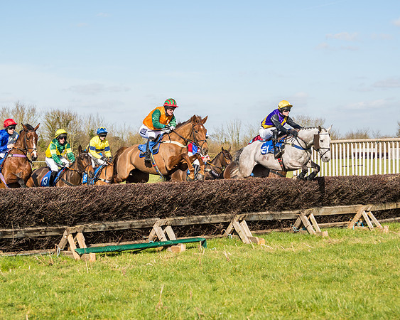 Race 1 - Open Maiden Division 2 (50 of 173)