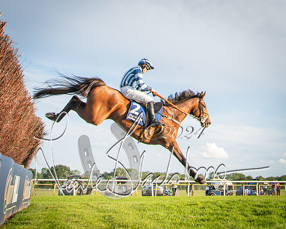 Race 4 - Peretemps Stratford Foxhunters (89 of 168)