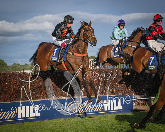 Race 4 - Peretemps Stratford Foxhunters (100 of 168)