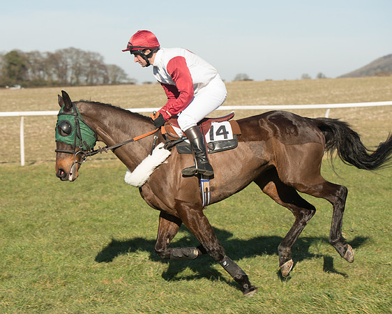 Race 3 - KBRC Conditions  (58 of 146).jpg