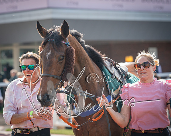 Race 1 - The Bottle Green Open Hunters steeplechase 2m62y (12 of 93)