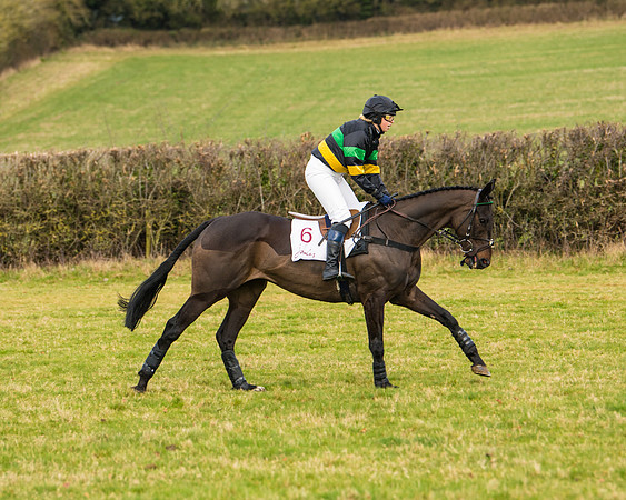 Race 3 - Restricted  (13 of 100)