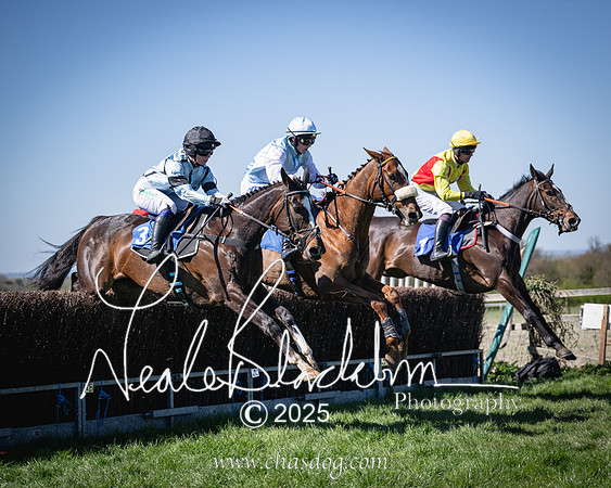 Race 2 - The Maiden (72 of 118)
