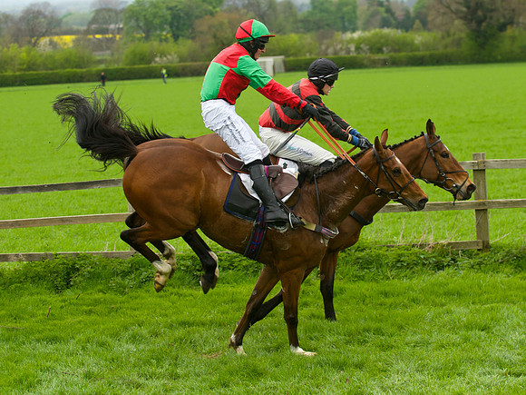 Race 3 - 4-5-6 Maiden 51