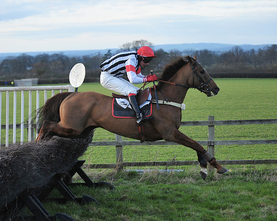 TVRC - Young Horse Maiden Division 2