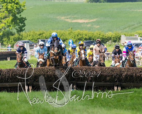 Race 2 - The Maiden  (132 of 442)