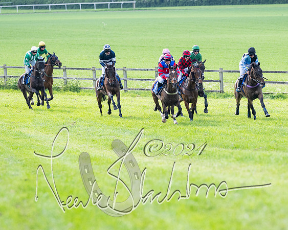 Race 5  - Maiden race 2m5F Div-2 (125 of 205)