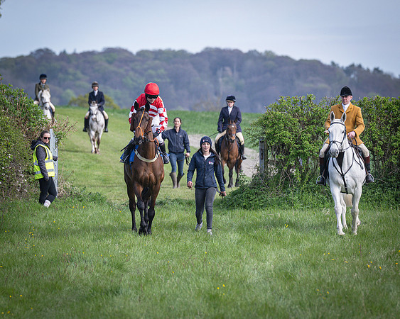 Race 5 - The 5G Restricted Race (4 of 56)