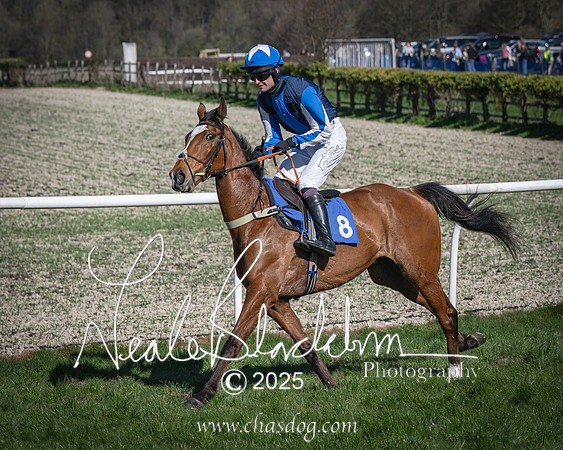 Race 6 - Veteran horse (39 of 109)