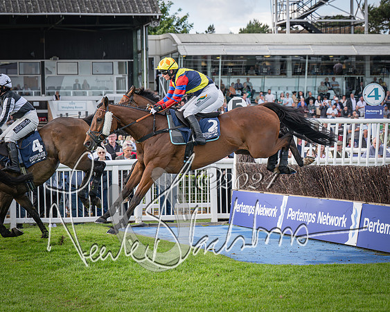 Race 2 - Olly Murphy Racing Stratford Ladies Open (81 of 111)