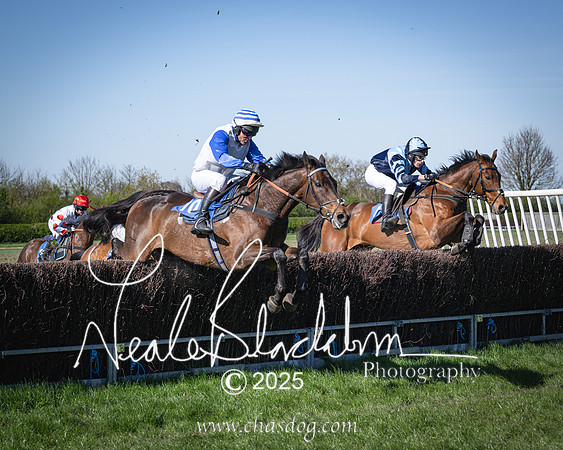 Race 6 - Veteran horse (75 of 109)