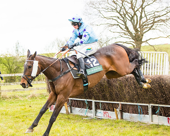 Race 6 - 6 year old and over Maiden 2m4f (42 of 62)