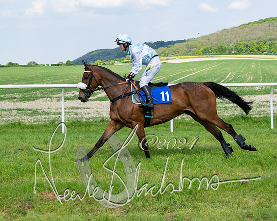 Race 3 - Ladies Open  (63 of 133)