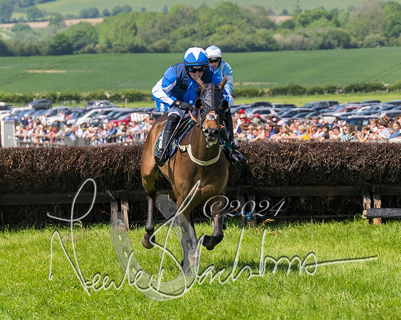Race 2 - The Maiden  (317 of 442)