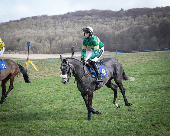 Race 1 - Four and Five year Old Maiden (52 of 137)