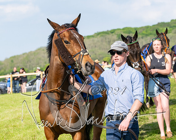 Race 5  - Maiden race 2m5F Div-2 (33 of 205)