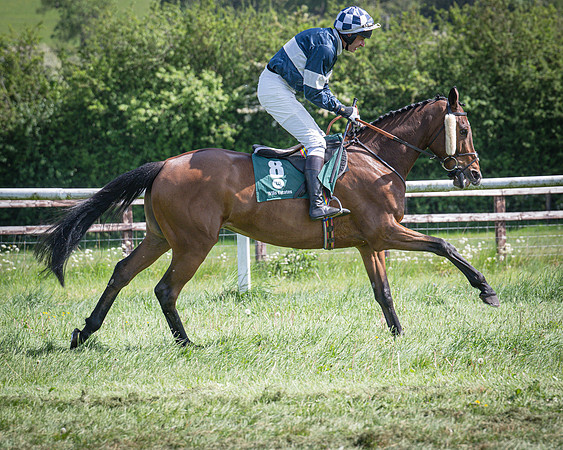 Race 3 - The mixed Open (15 of 69)