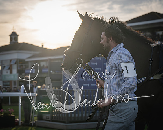 Race 5 - tipsterreviews.co.uk handicap (18 of 107)