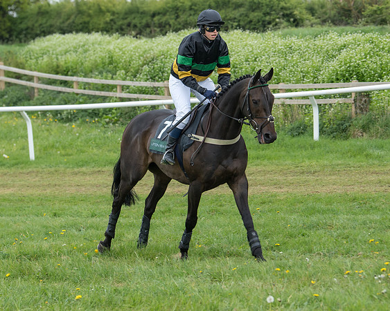 Race 6 - Restricted (98 of 173)