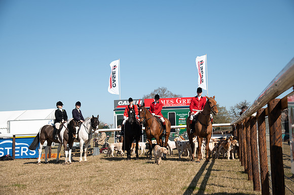 Hunt Horses annd Hound parade (10 of 44)