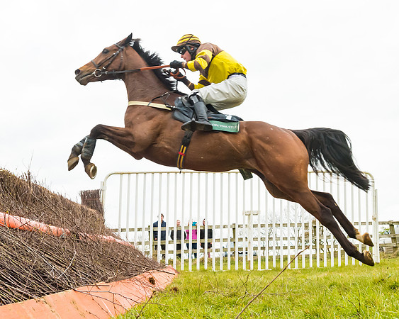 Race 6 - 6 year old and over Maiden 2m4f (32 of 62)