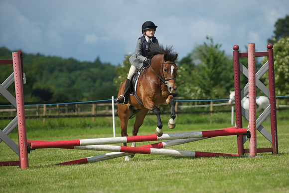 SOHS PC Summer Show at BCA 17th June 2012