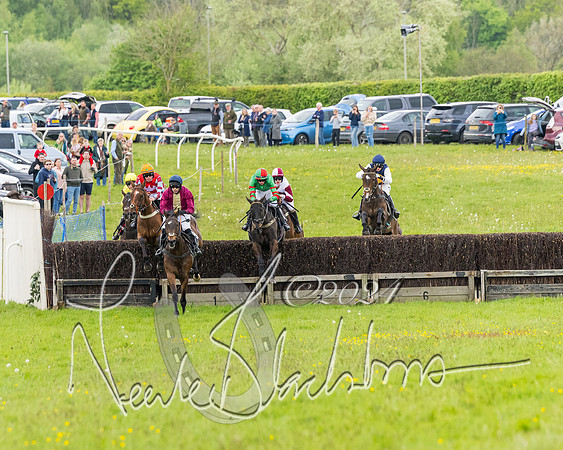 Race 1 - Restricted Race  (35 of 85)