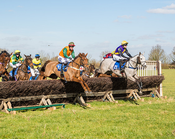 Race 1 - Open Maiden Division 2 (52 of 173)