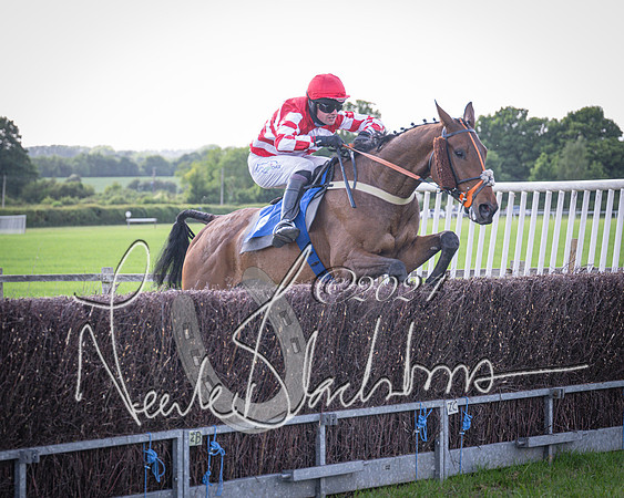 Race 6 - Thorn Plant Hire Maiden Race (90 of 129)