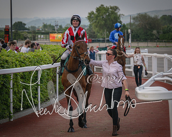 Race 5 - Mares Open Hunter Steeplechase 3m2f 70y (49 of 269)