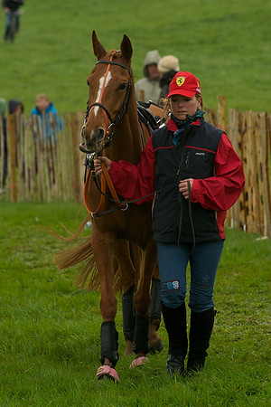 Race 8 - Pony Race 2 -  6