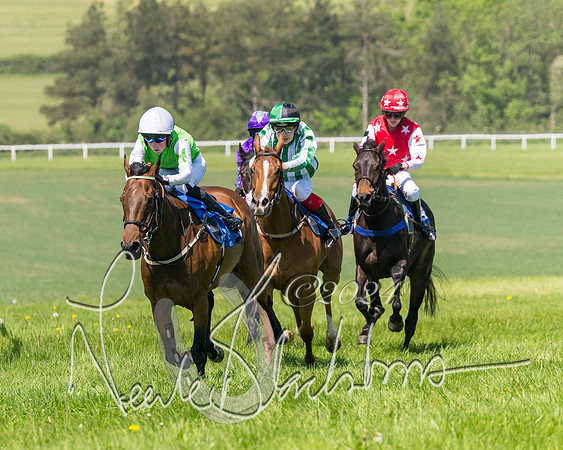 Pony Races  (67 of 141)