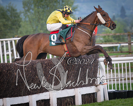 Race - 7 The Royal Gloucester Hussars Open Hunter's steeplechase 2m4f 127y (131 of 210)